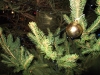 DSCF1051