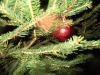 DSCF1055