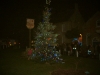 Our Tree
