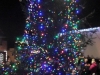 2017-12-02 christmas tree 01