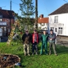 2019-tree-02