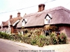 thatched-cottages